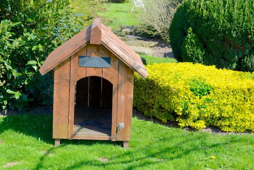 6 Best UK Garden Dog Kennels (Dec 2020) UpGardener™